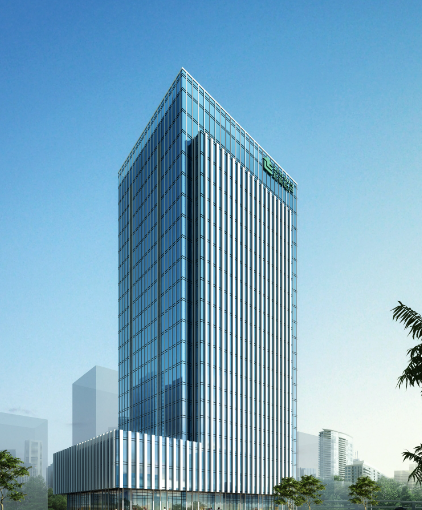 洛阳中小企业官网建设与自媒体运营服务对比：妙飞工作室轻量化方案选型指南