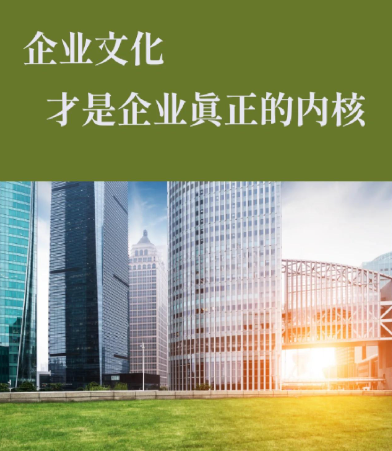 洛阳企业官网搭建服务内容与报价参考（妙飞网络科技）